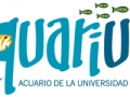 layout_set_logo