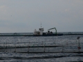 P1010516